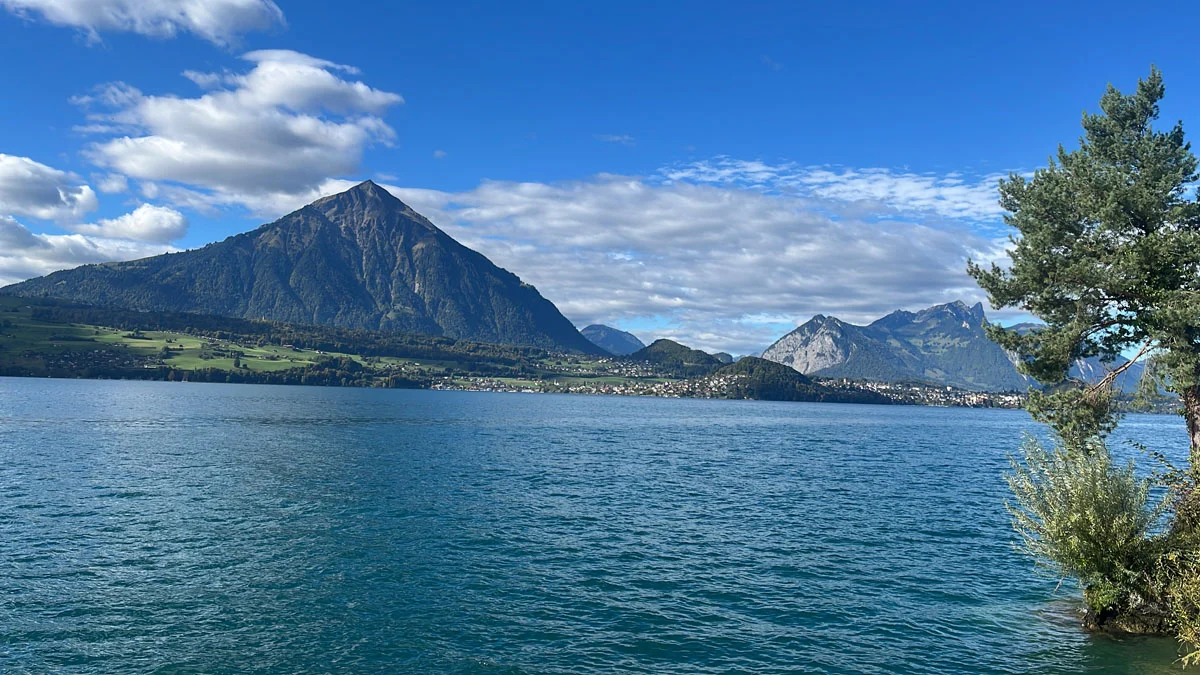 Thunersee 2025 Kup