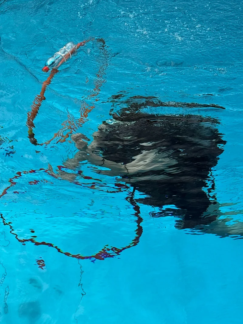 Freibad Mühleholz 2026