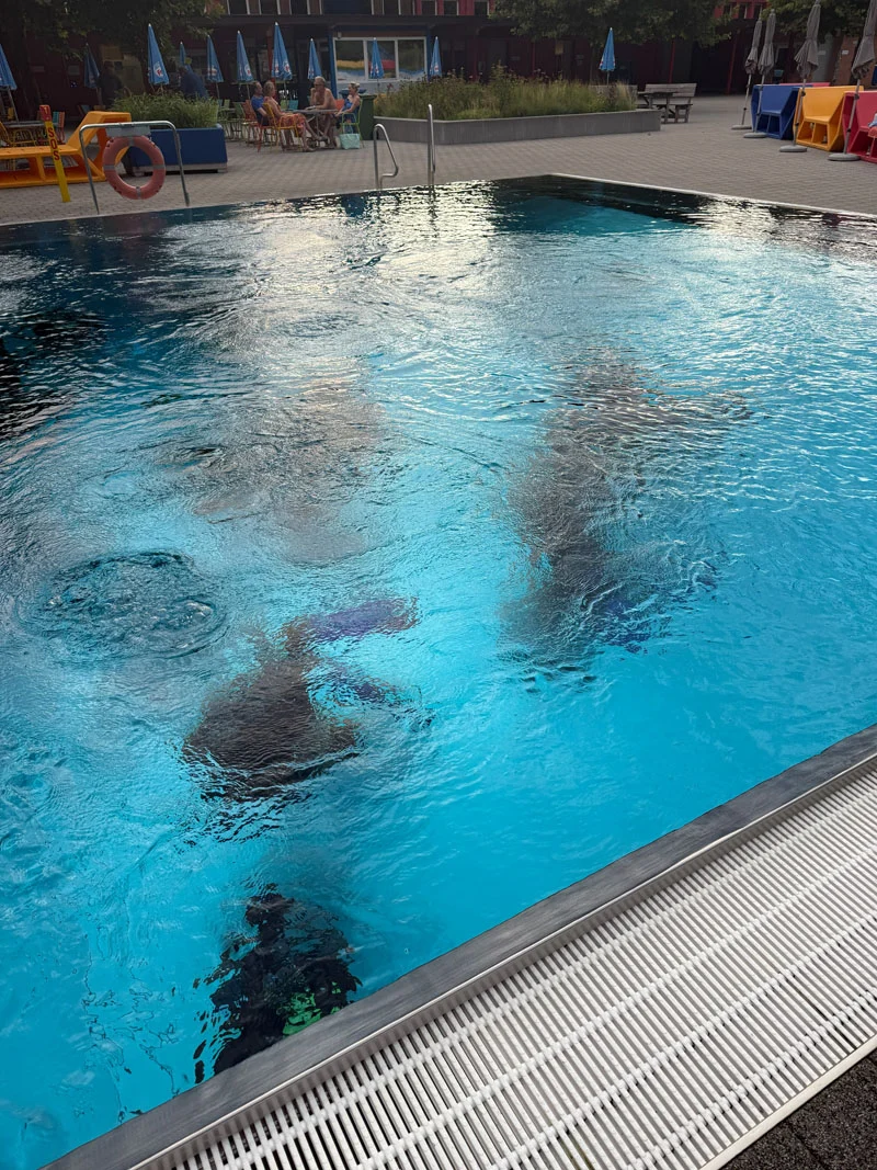 Freibad Mühleholz 2026