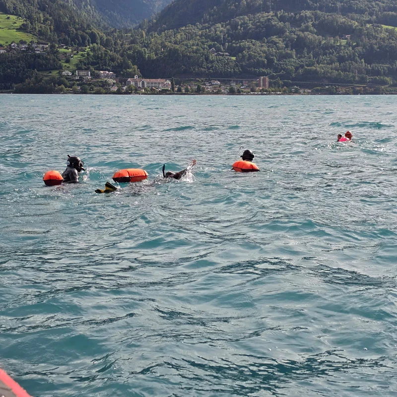 02044619 2026 Walenseeschwimmen Fest